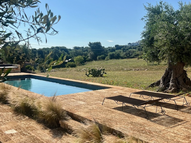 A private pool with loungers set among olive trees and dry stone walls
